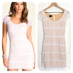 Bebe Carolina Banded Lace Scalloped Cap Sleeve Bodycon Mini Dress White Nude S